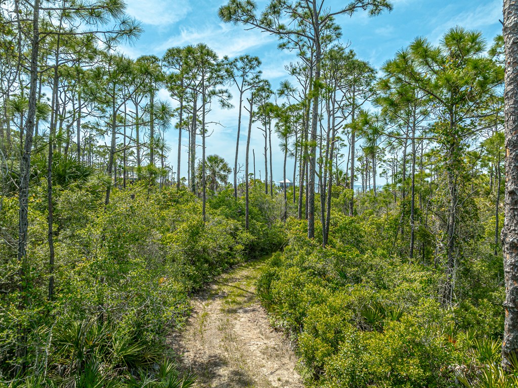 1831 Bayview Dr, St. George Island 32328