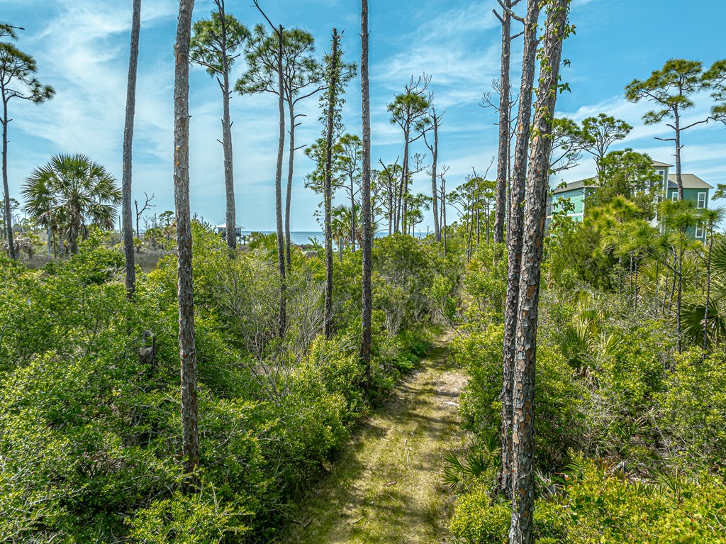 1831 Bayview Dr, St. George Island 32328