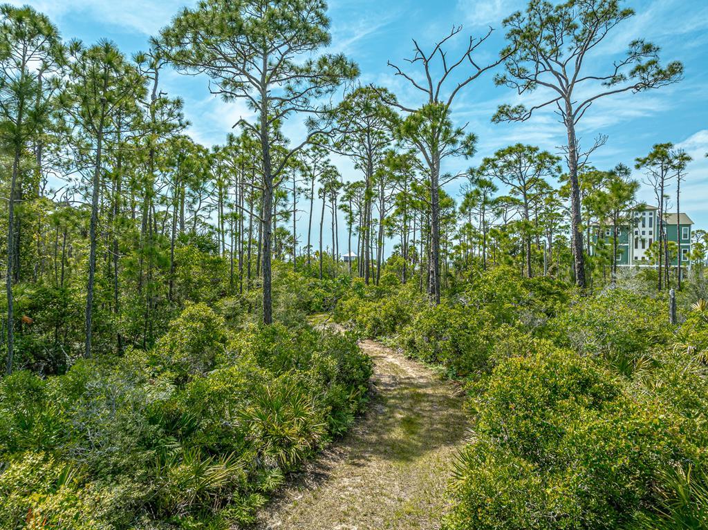 1831 Bayview Dr, St. George Island 32328