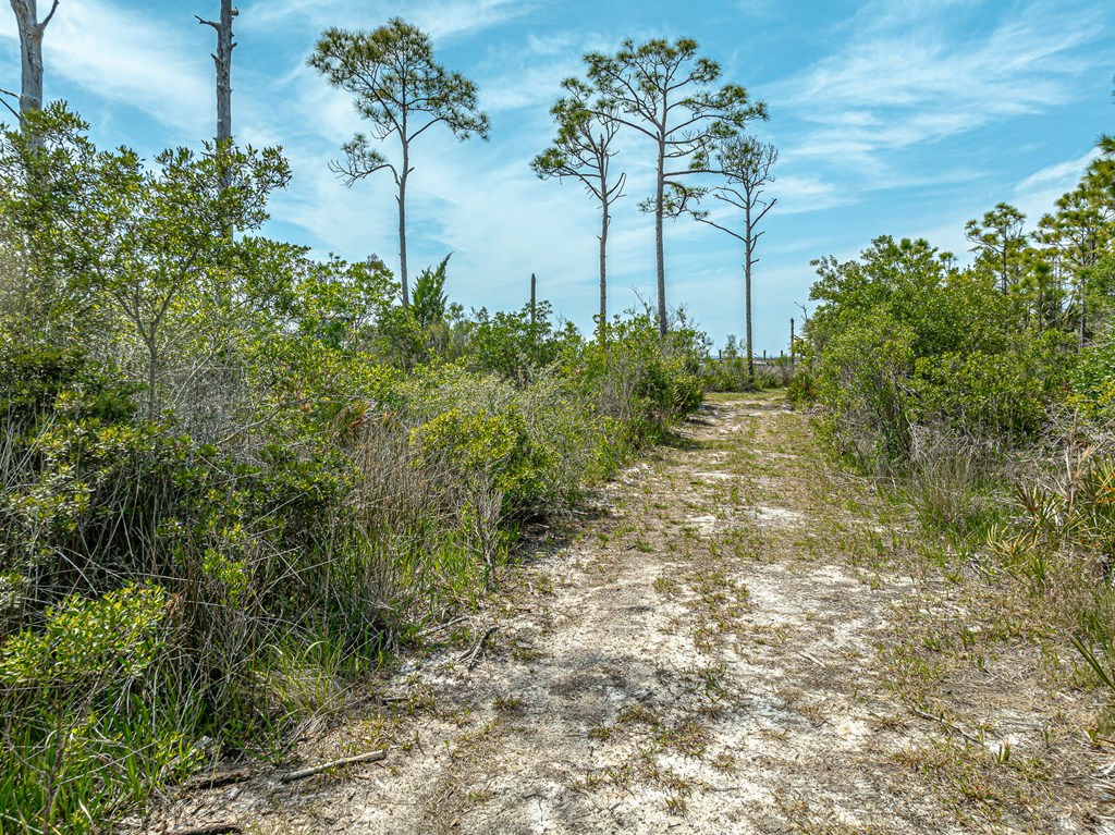 1831 Bayview Dr, St. George Island 32328