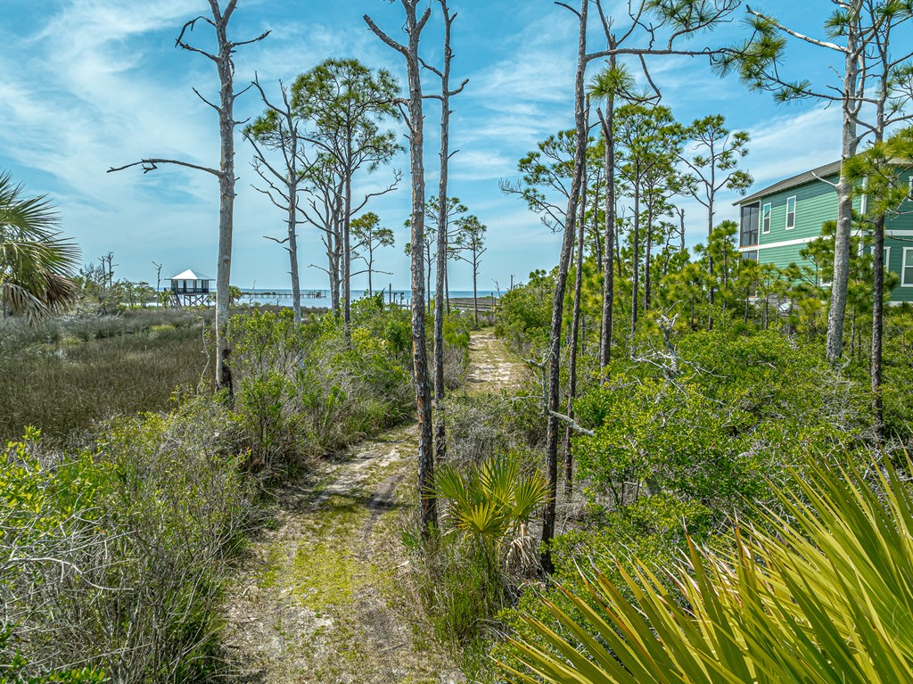 1831 Bayview Dr, St. George Island 32328