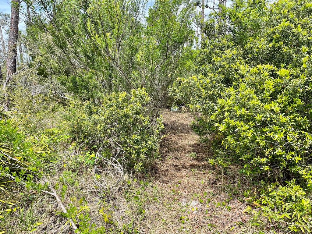 1631 Forsythia Trail, St. George Island 32328