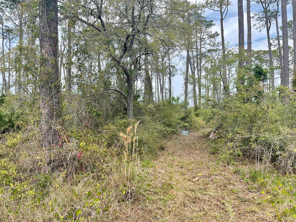 1631 Forsythia Trail, St. George Island 32328