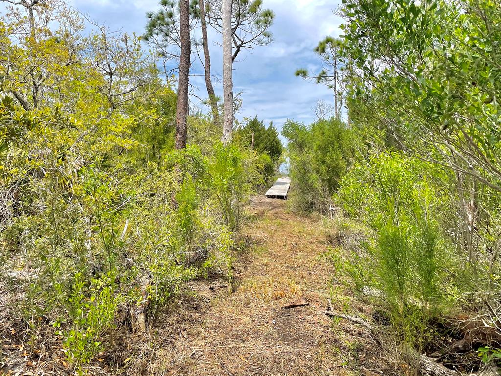 1631 Forsythia Trail, St. George Island 32328