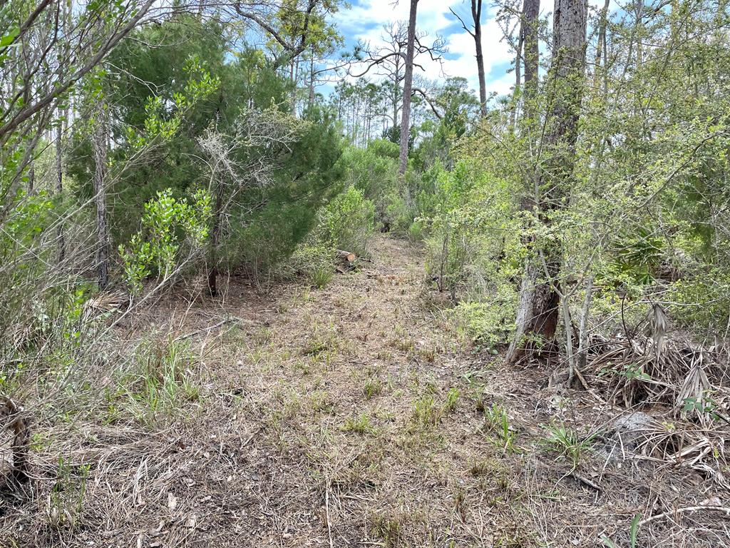 1631 Forsythia Trail, St. George Island 32328