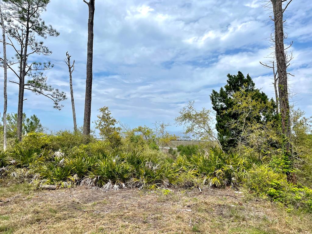 1631 Forsythia Trail, St. George Island 32328