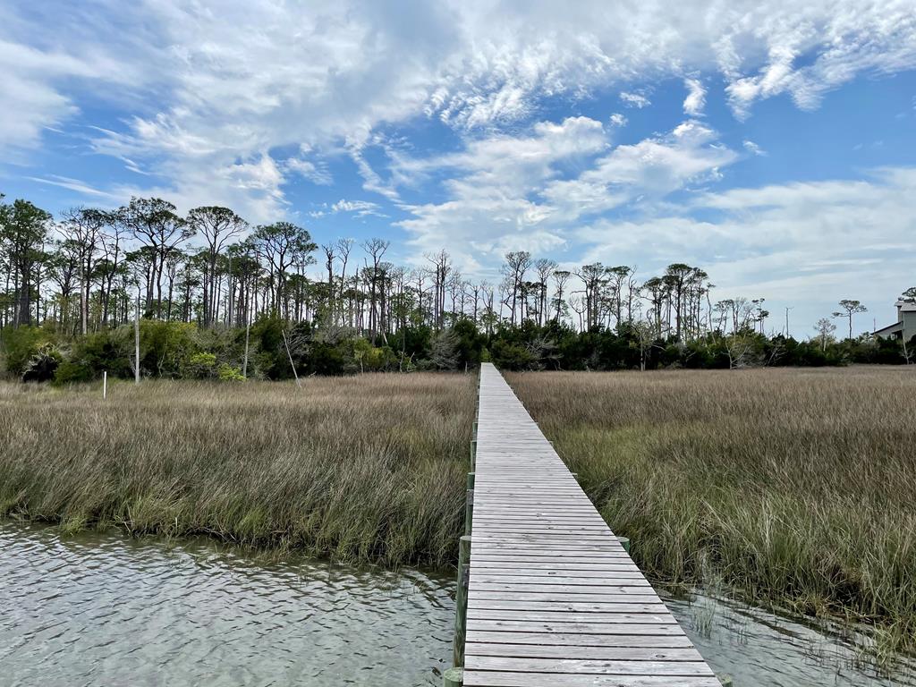 1631 Forsythia Trail, St. George Island 32328