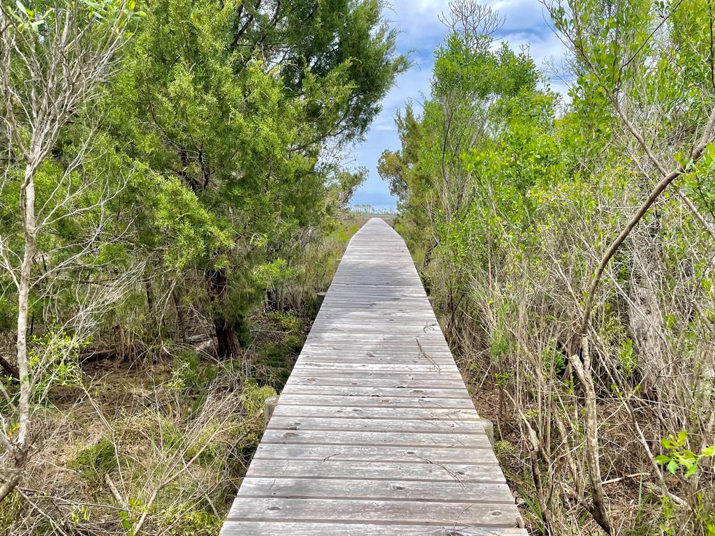 1631 Forsythia Trail, St. George Island 32328