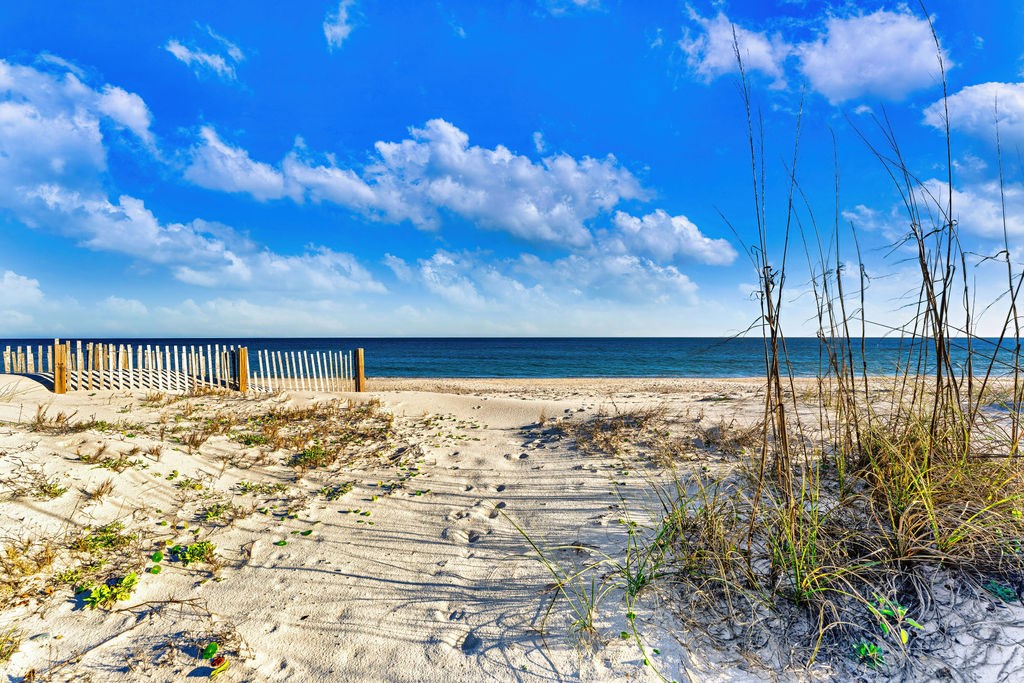 2262 Sailfish Dr, St. George Island 32328