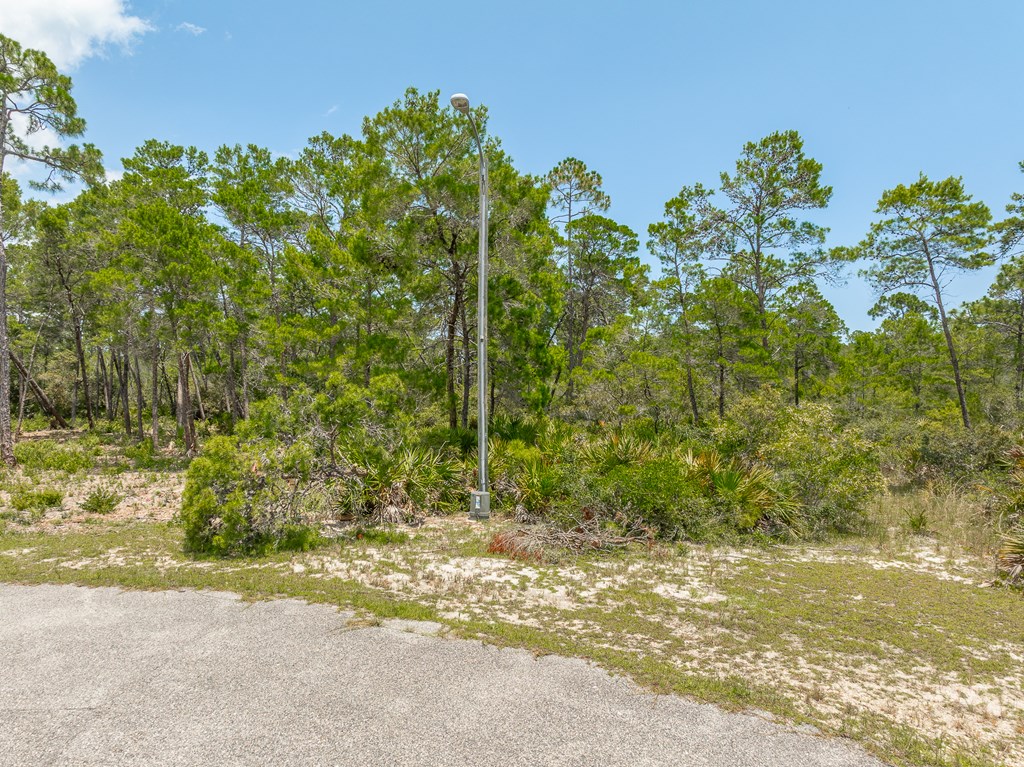 349 Blue Heron Dr, 32328