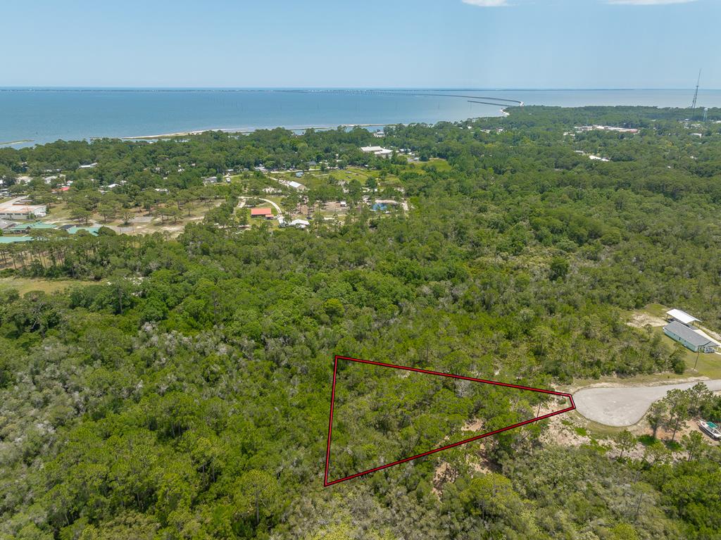 349 Blue Heron Dr, 32328