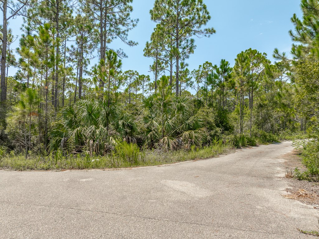 47 Piney Point Ln, 32328