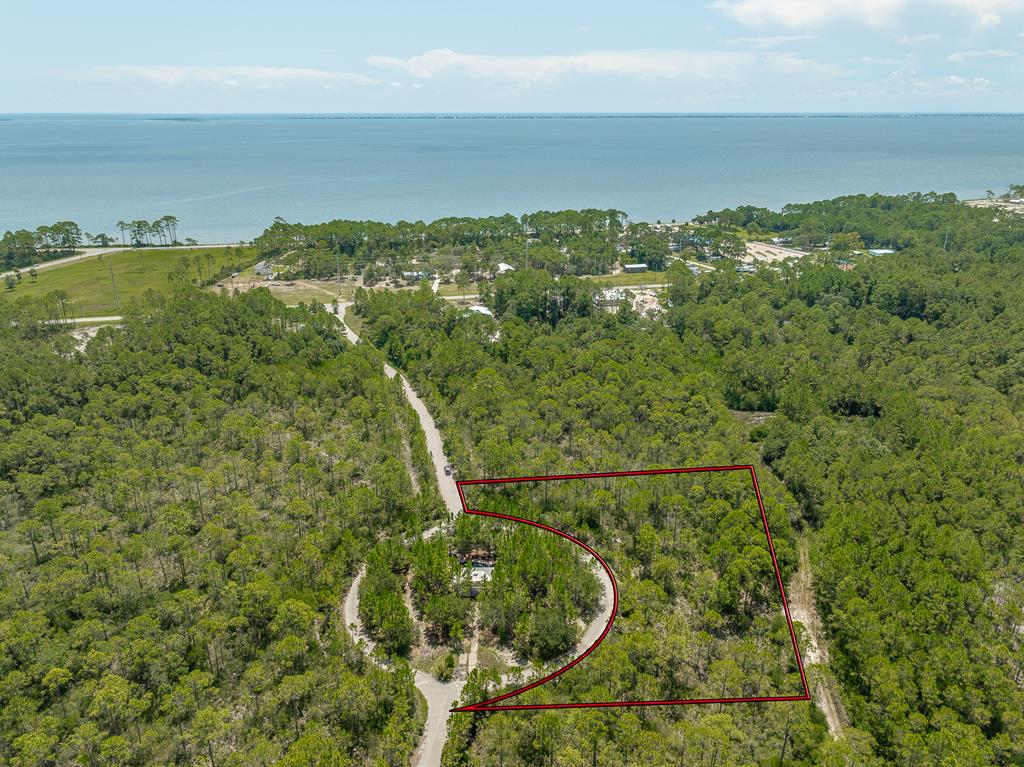 47 Piney Point Ln, 32328