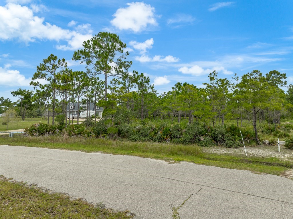 355 Lily Cir., 32328