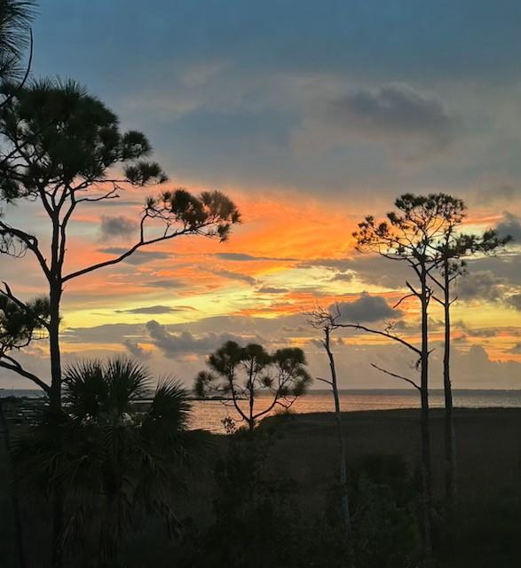 1723 Kingfisher Rd, St. George Island 32328