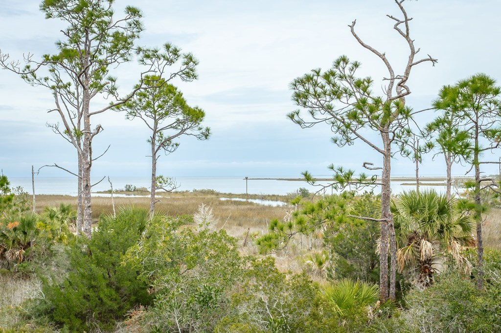 1723 Kingfisher Rd, St. George Island 32328