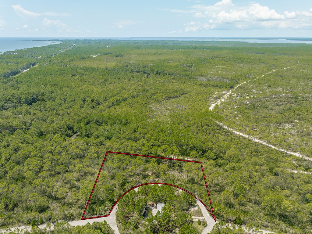 47 Piney Point Ln, 32328