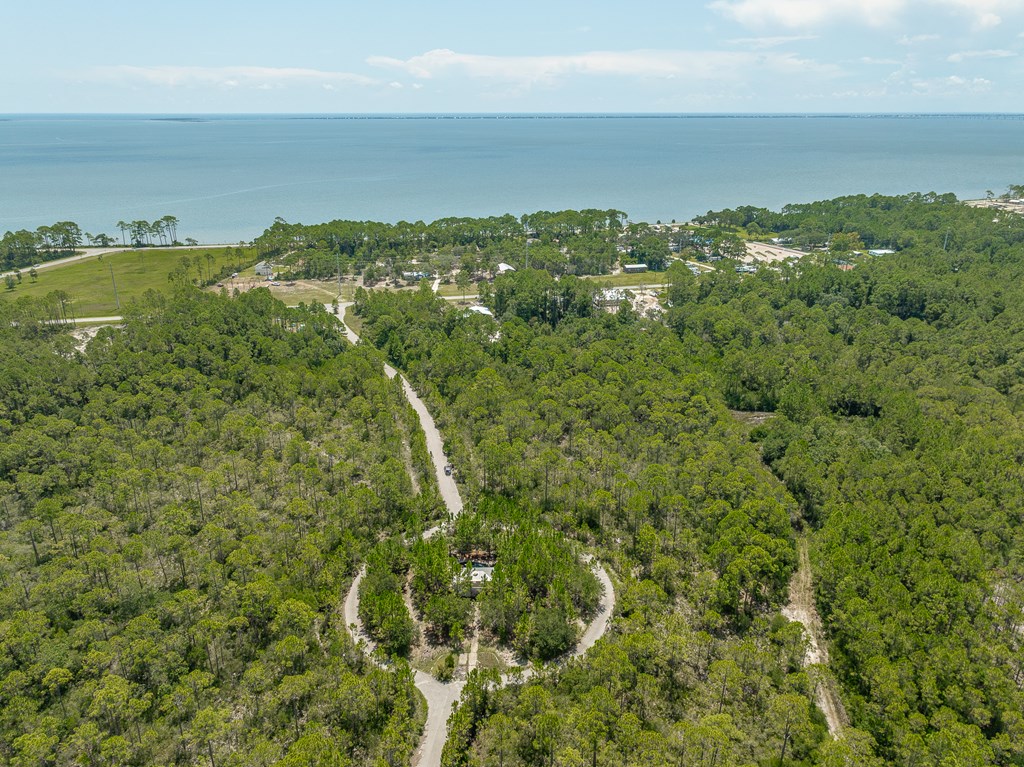 47 Piney Point Ln, 32328