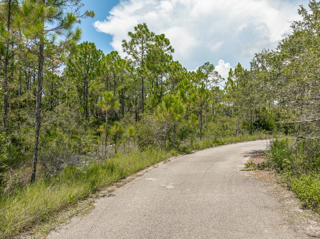 47 Piney Point Ln, 32328