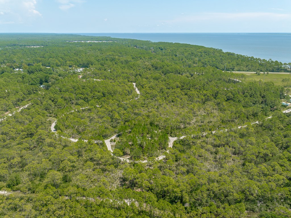 47 Piney Point Ln, 32328