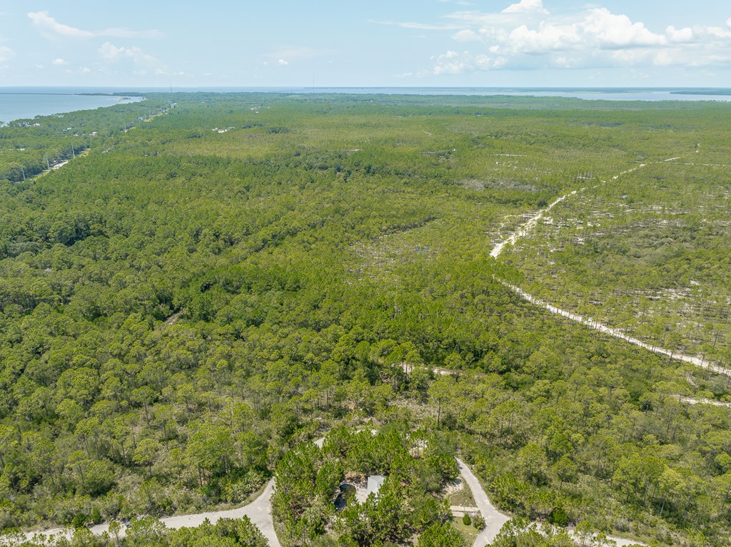 47 Piney Point Ln, 32328