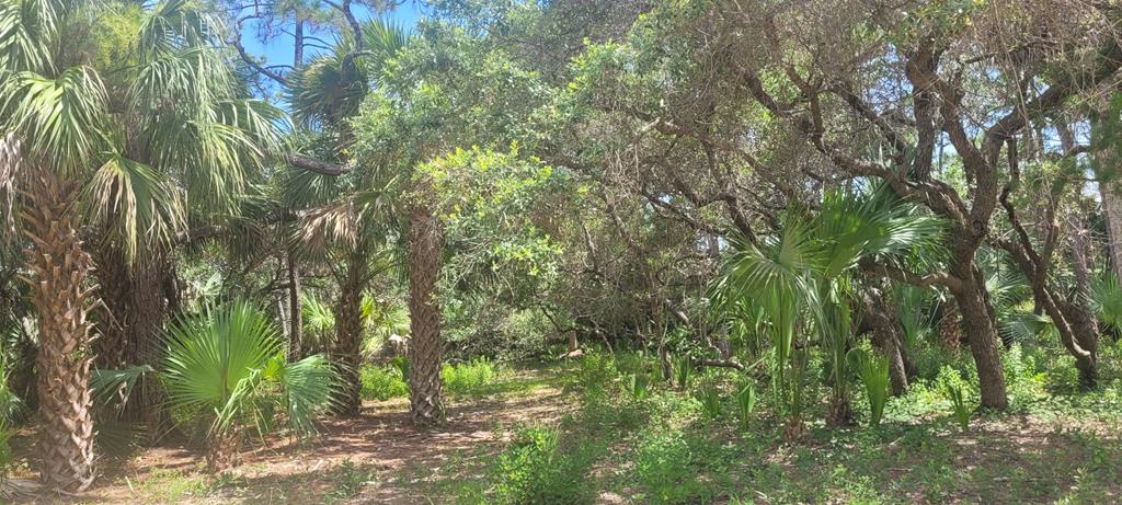 840 E Pine Ave, St. George Island 32328