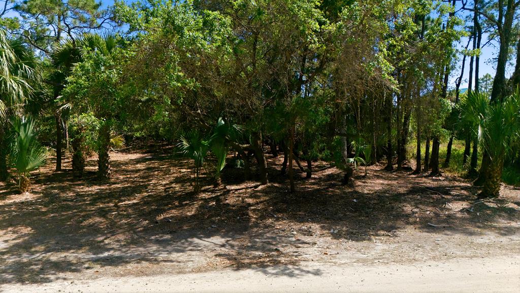 840 E Pine Ave, St. George Island 32328