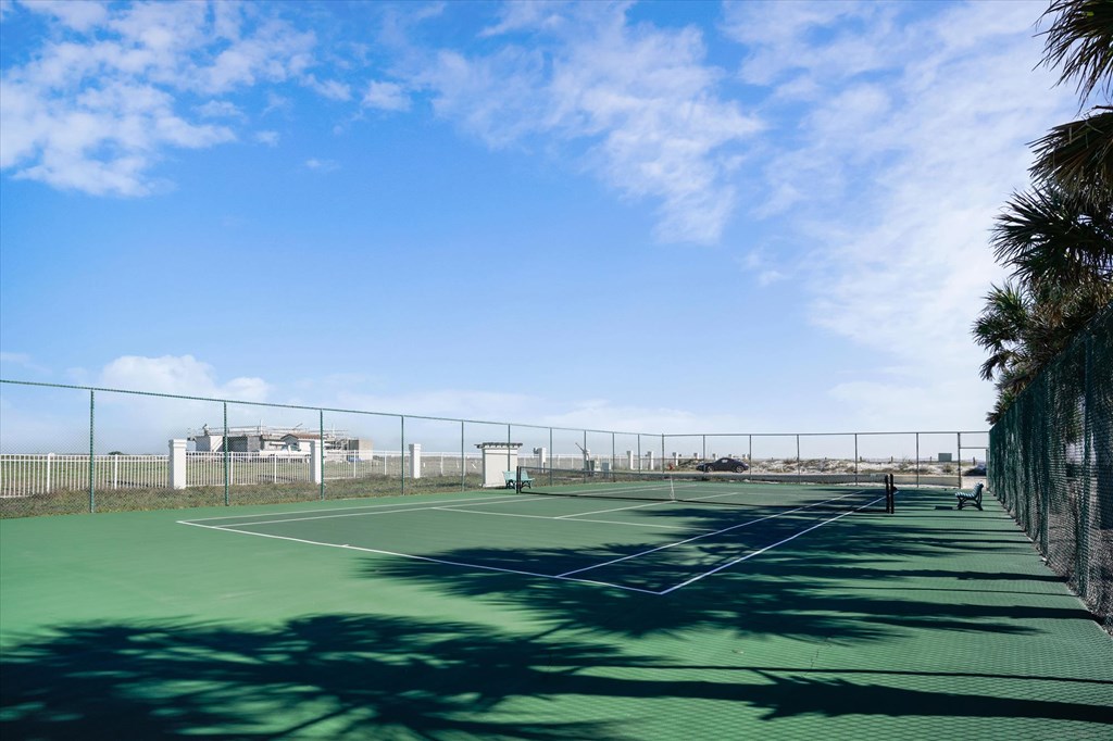 Outdoor tennis court with chain-link fencing, benches, and palm-tree shadows across the green surface.
