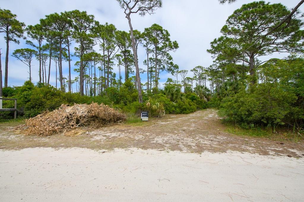 1107 E Gulf Beach Dr, St. George Island 32328
