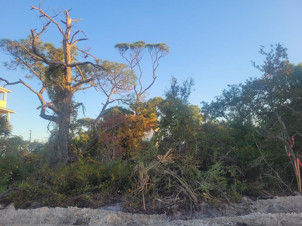 232 E Pine Ave, St. George Island 32328