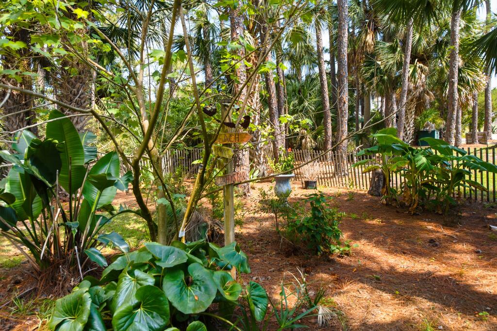 548 E Pine Ave, St. George Island 32328