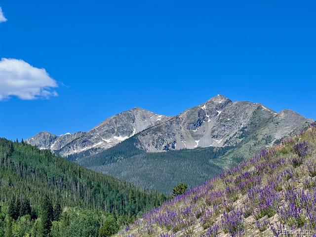 570 Bills Ranch Road Unit: 335