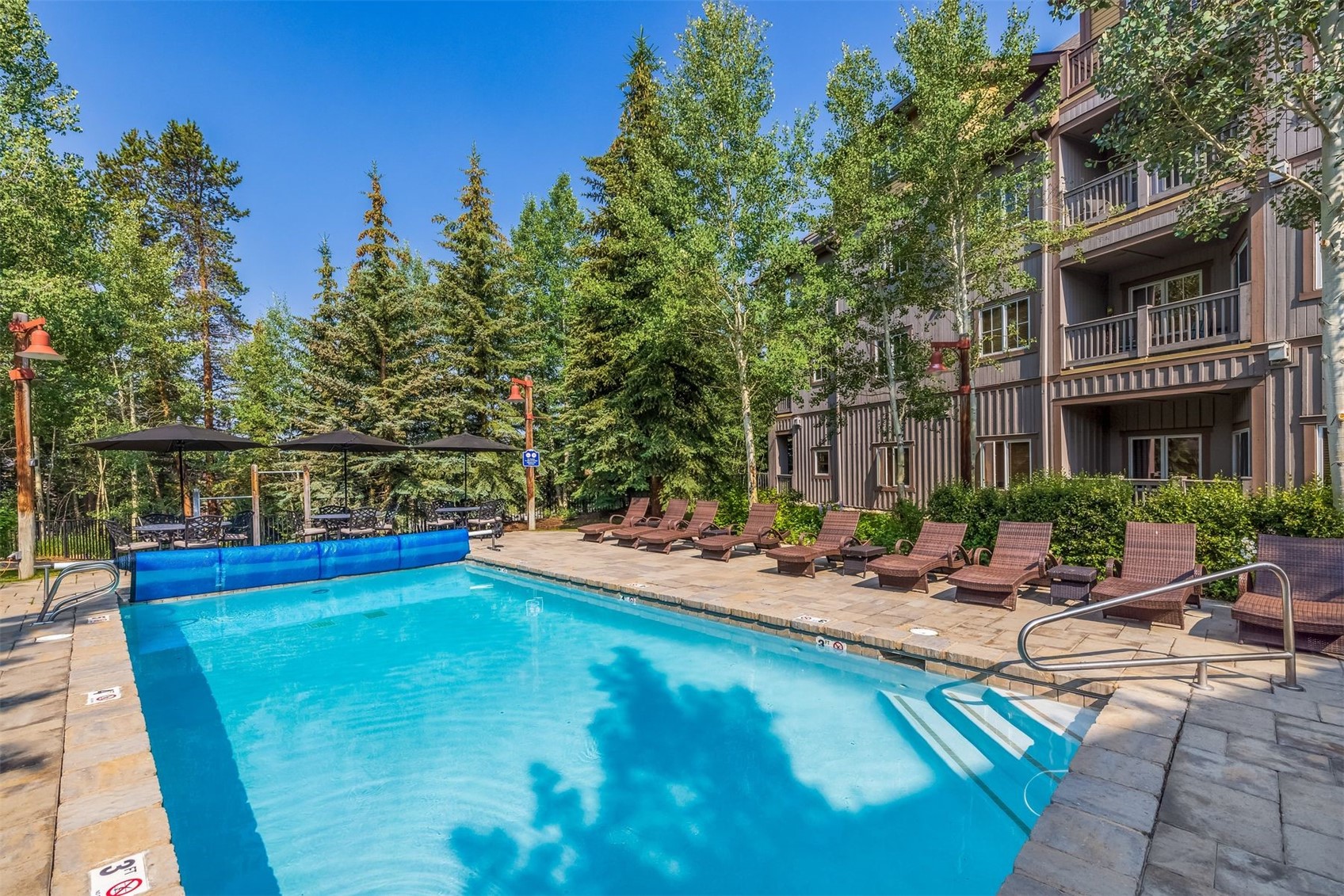 135 Dercum DRIVE 8630
