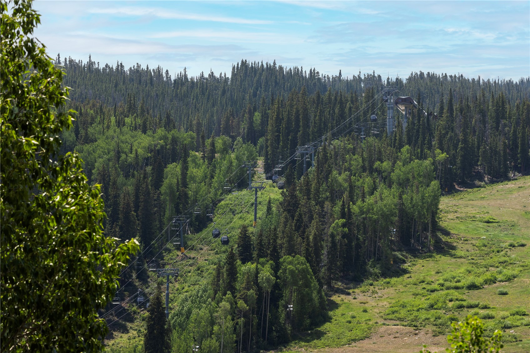 Forested mountain slope with a ski lift crossing a summer ski run.