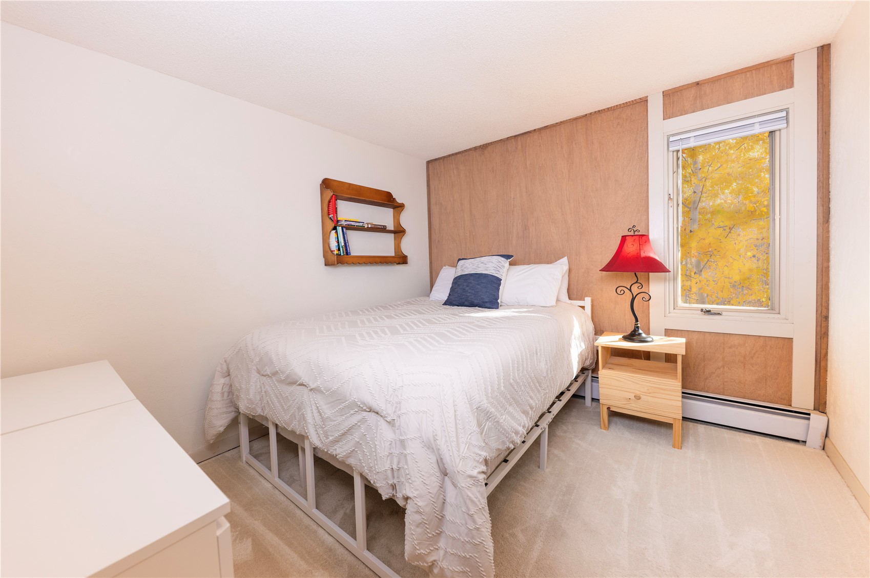 1115 Ski Hill ROAD 81