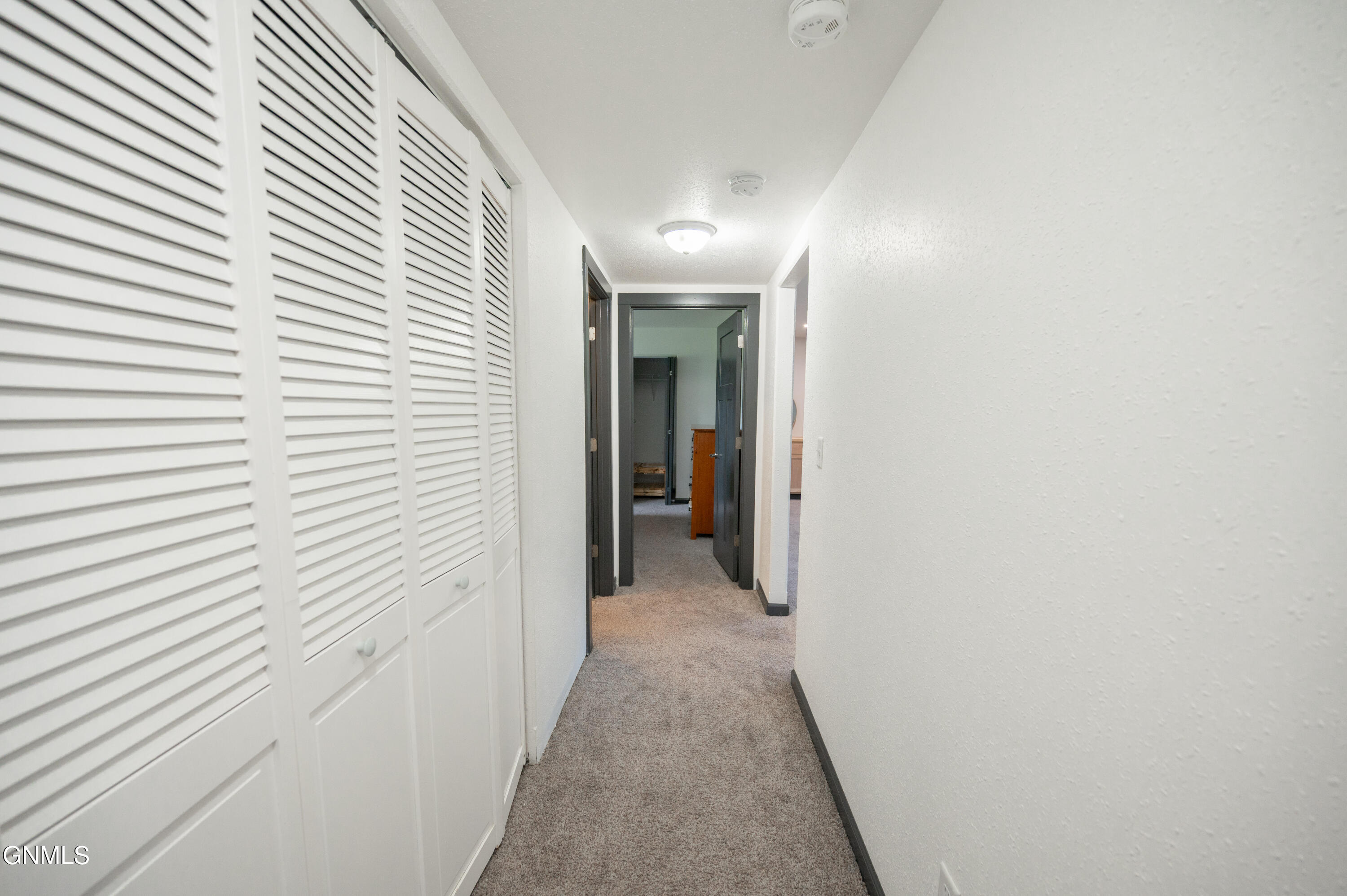 5706 Olive Tree Drive