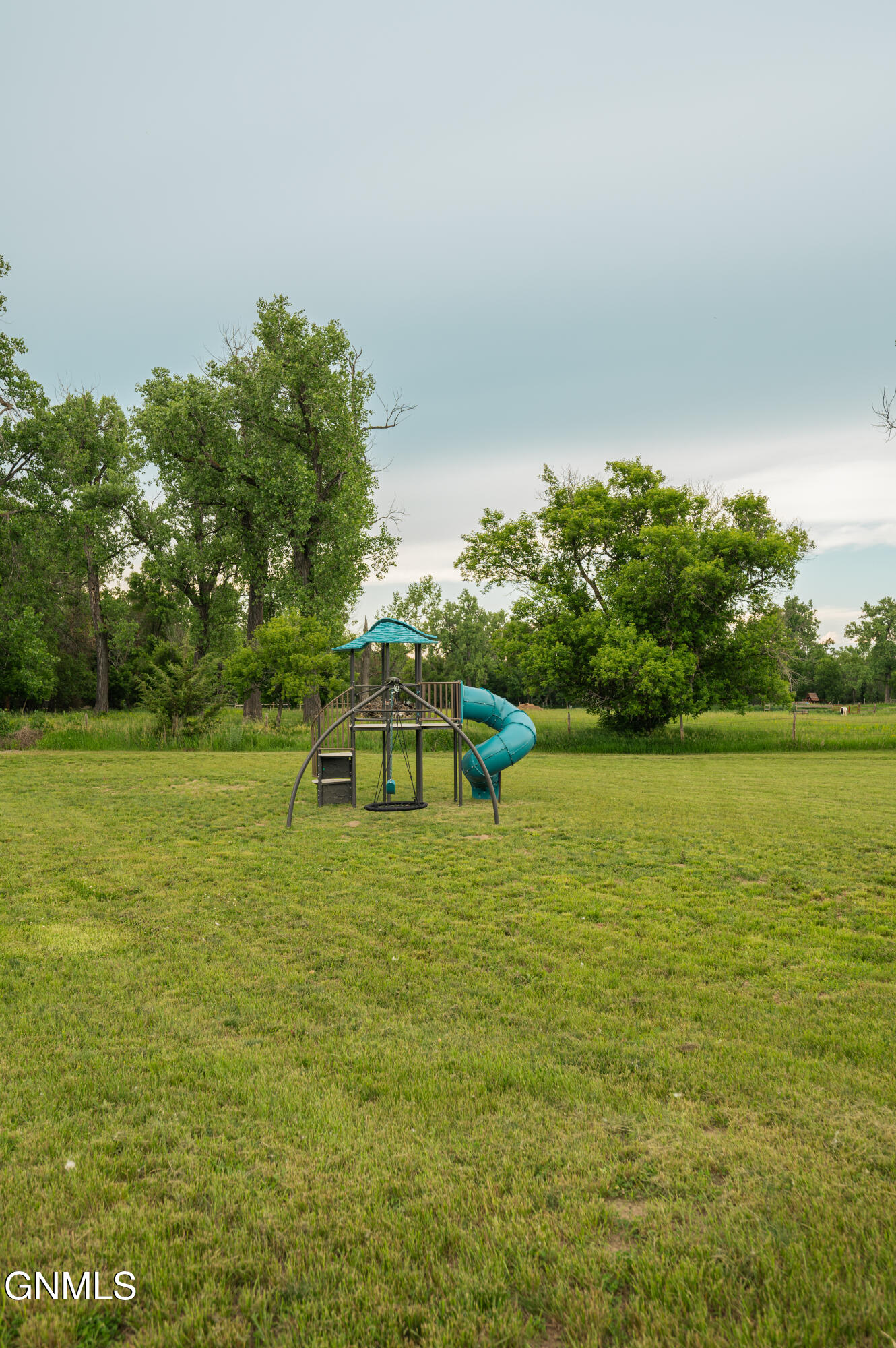 5706 Olive Tree Drive