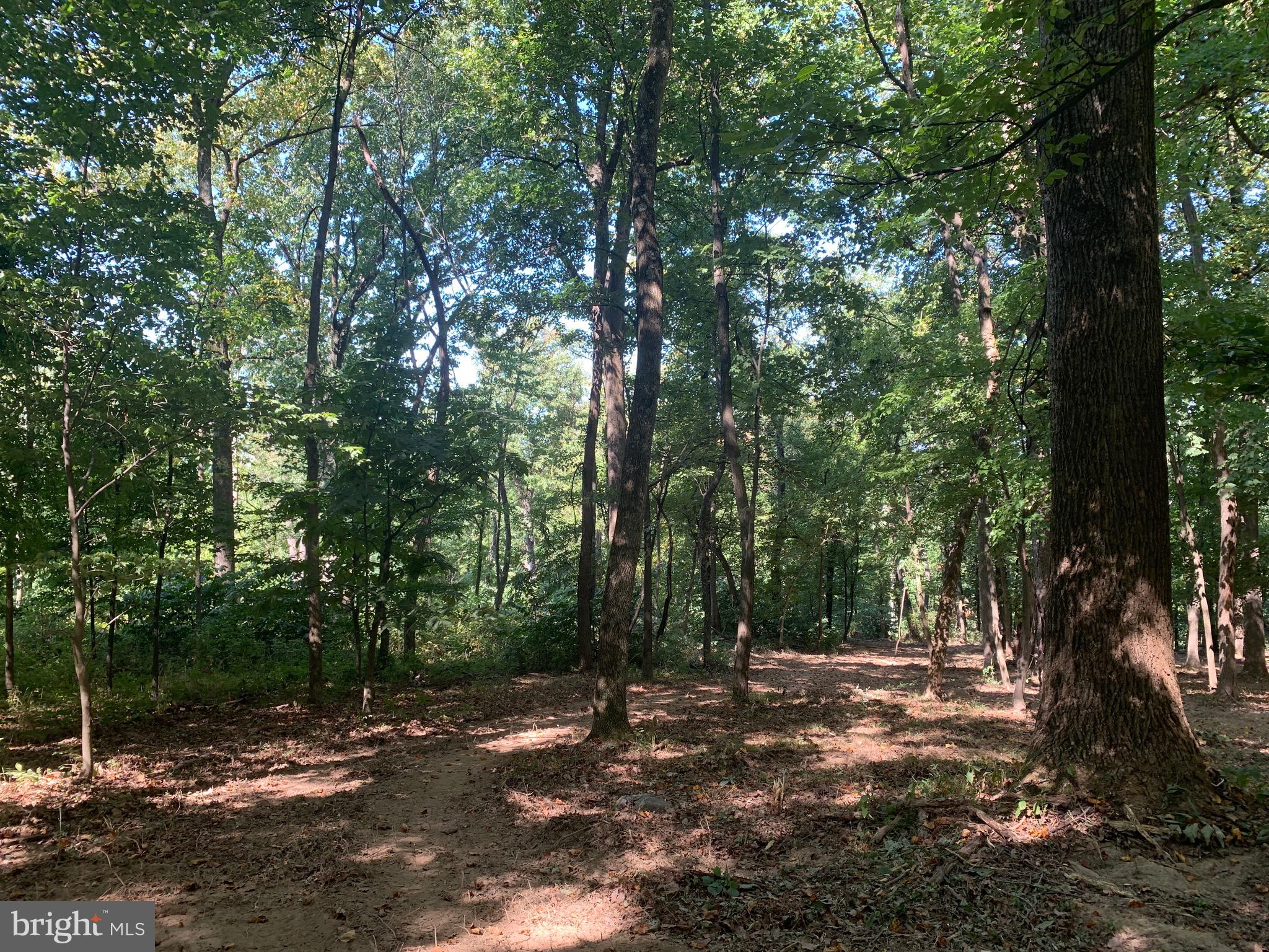 132 Mt Carmel Rd