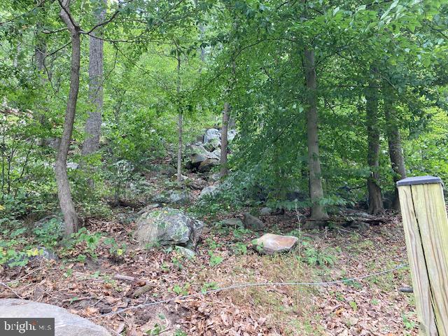 132 Mt Carmel Rd