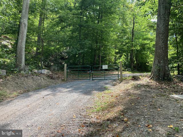 132 Mt Carmel Rd