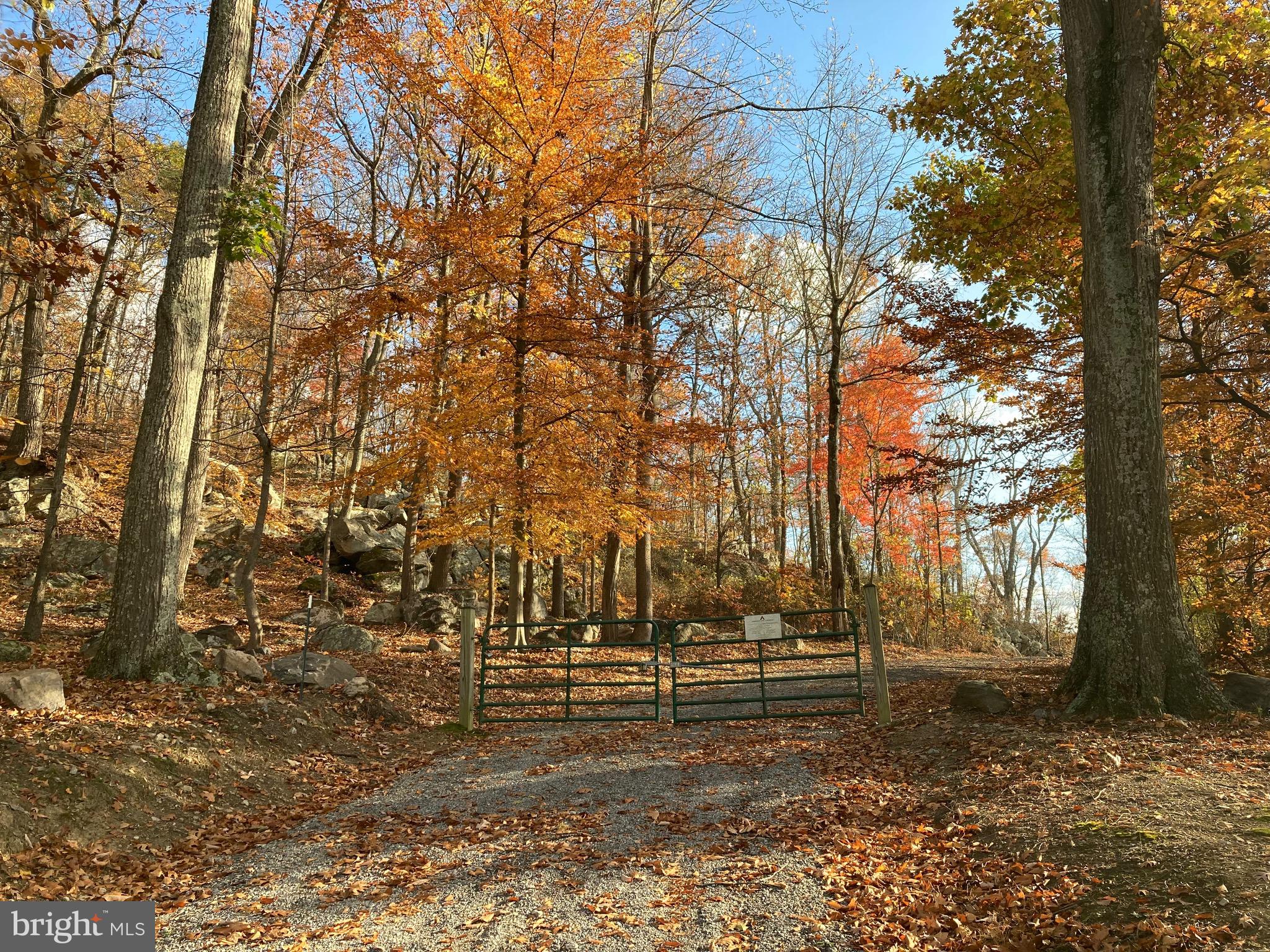 132 Mt Carmel Rd