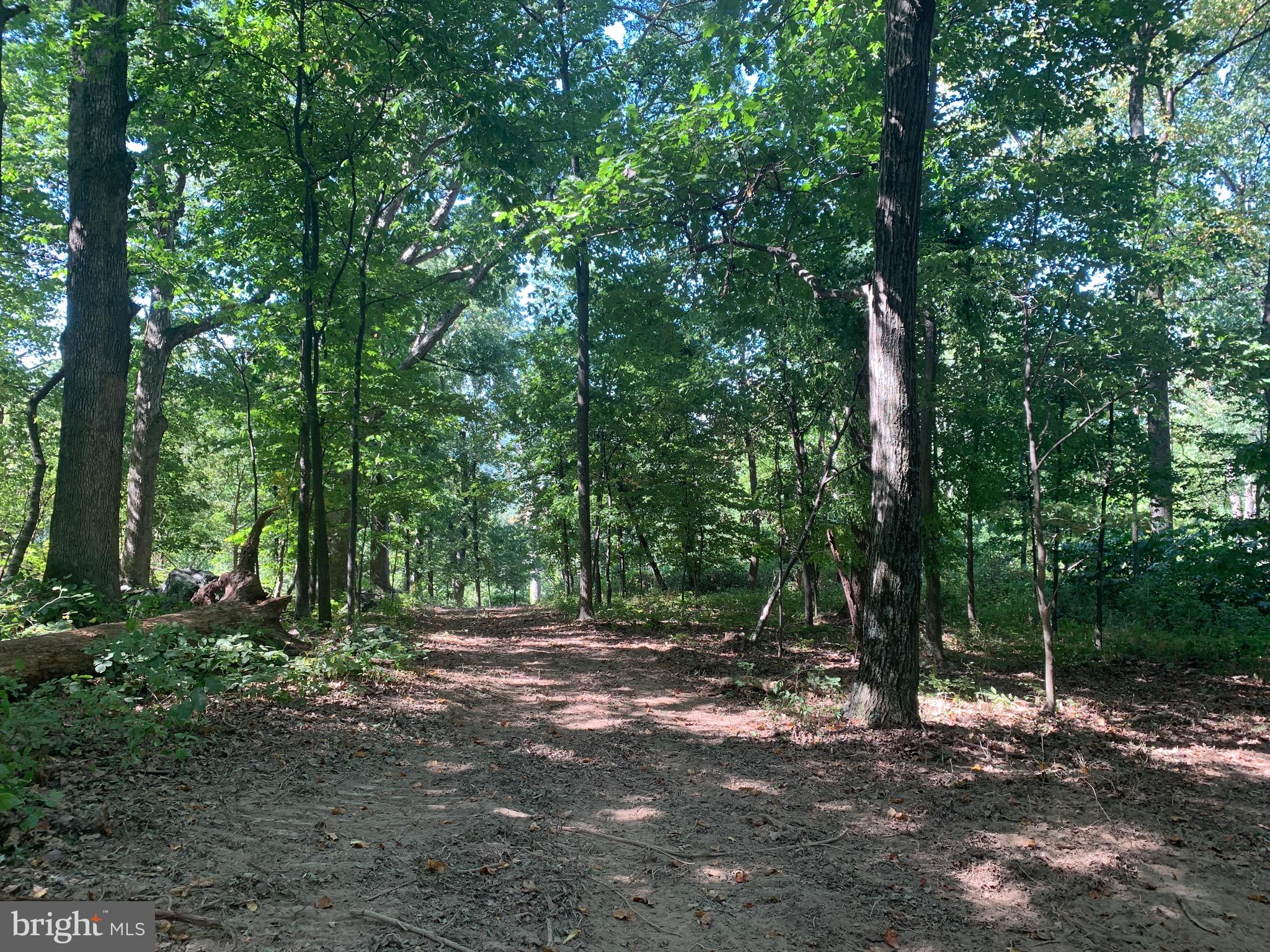 132 Mt Carmel Rd