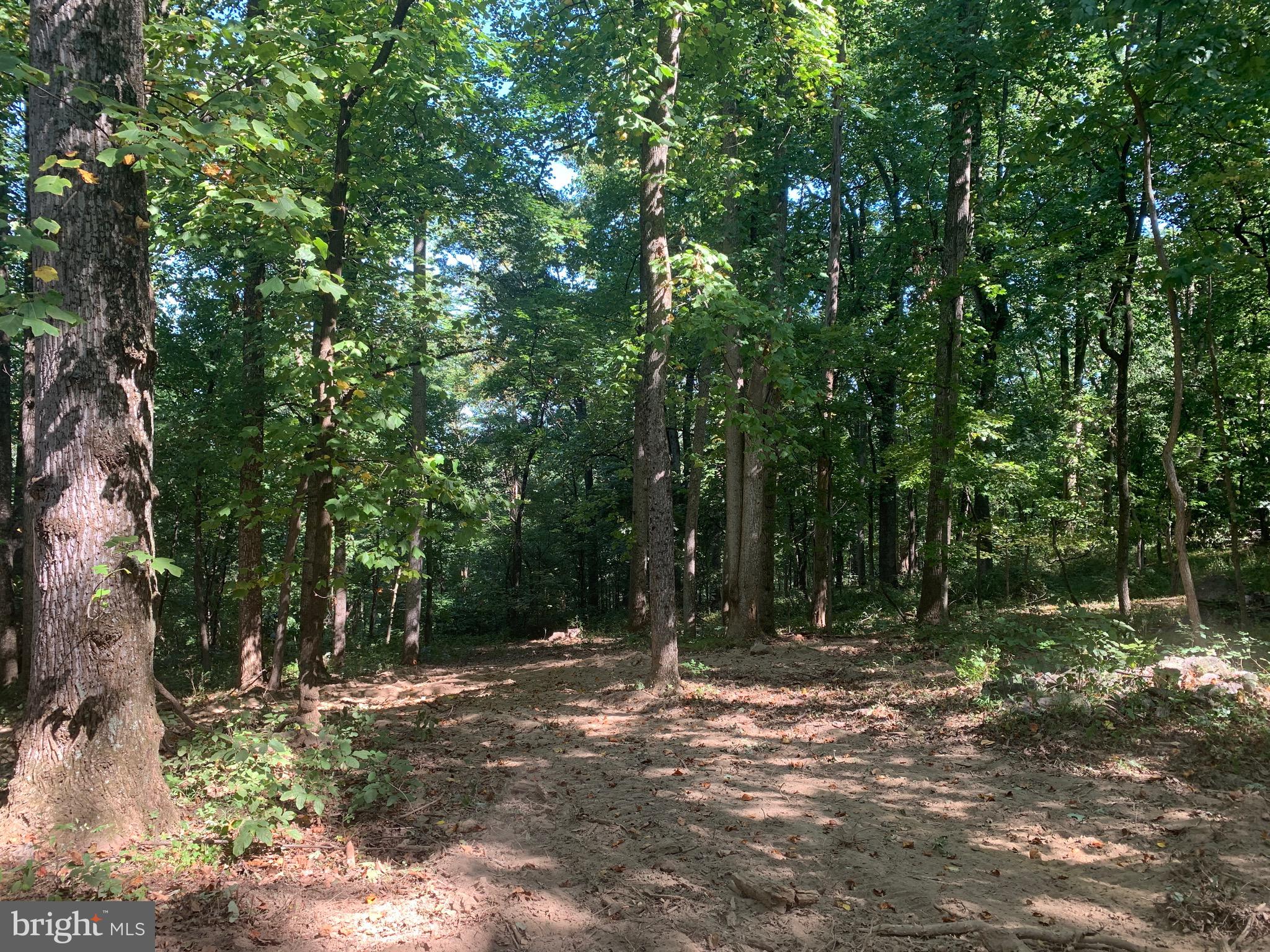 132 Mt Carmel Rd