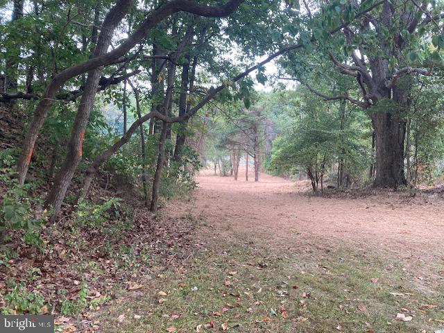 132 Mt Carmel Rd
