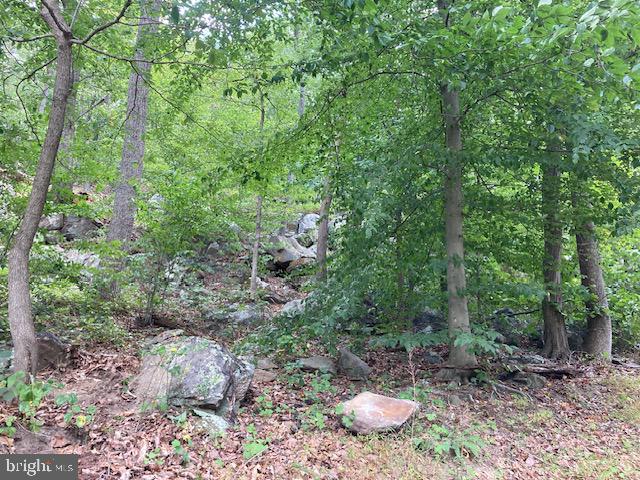 132 Mt Carmel Rd