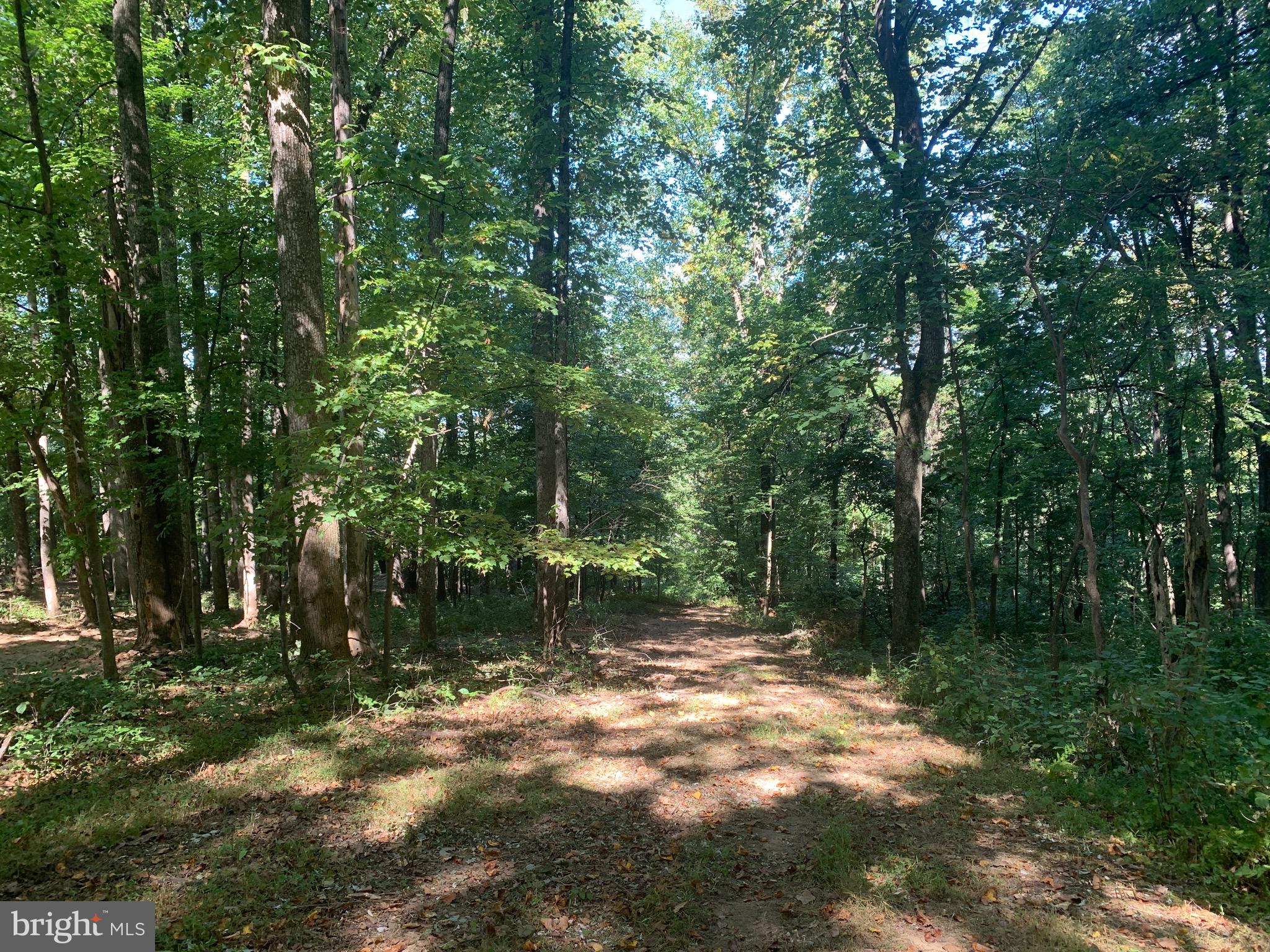 132 Mt Carmel Rd