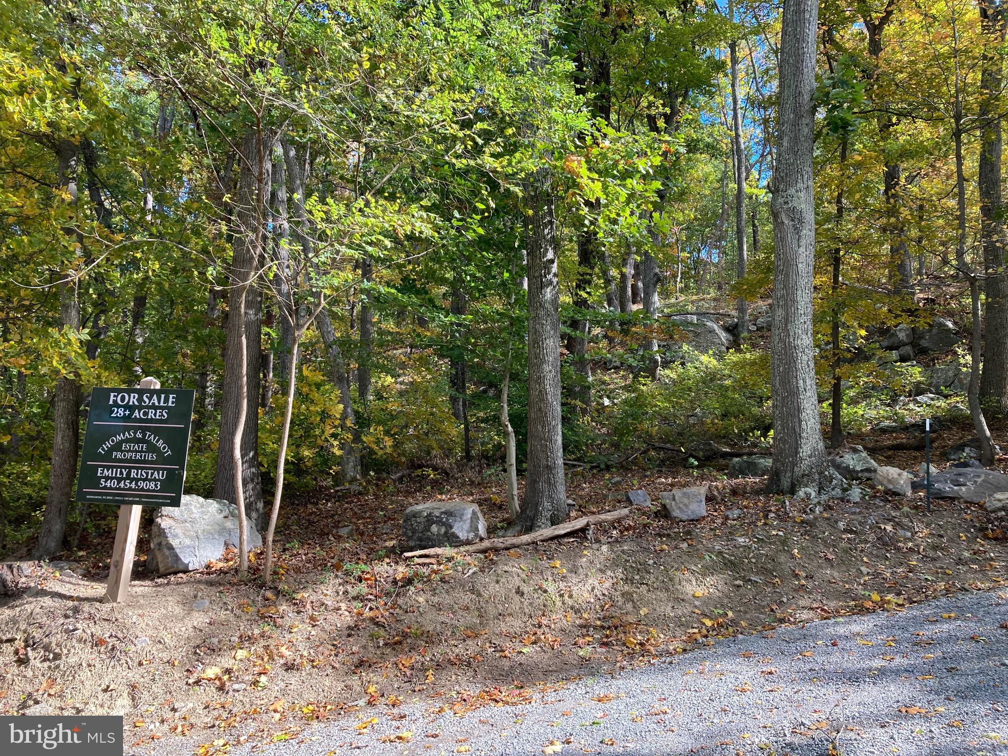 132 Mt Carmel Rd