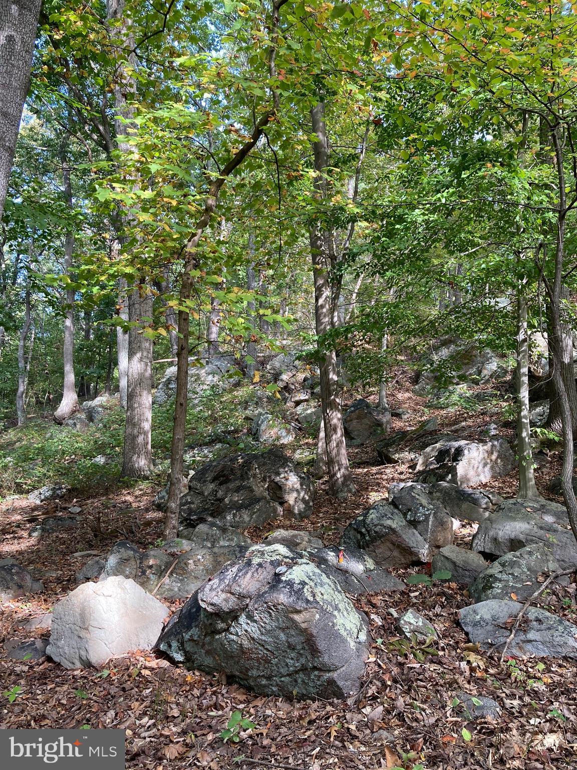 132 Mt Carmel Rd