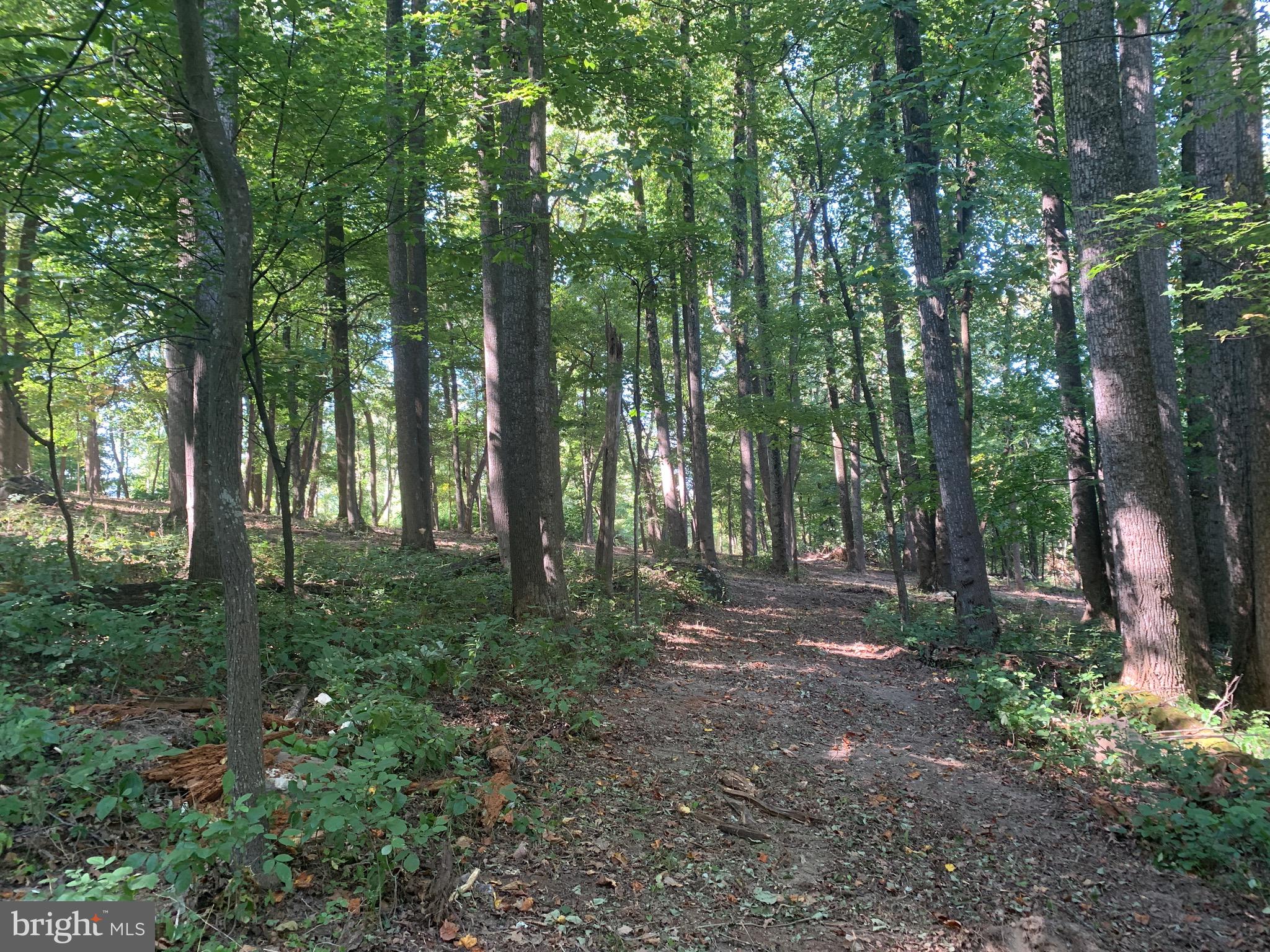 132 Mt Carmel Rd