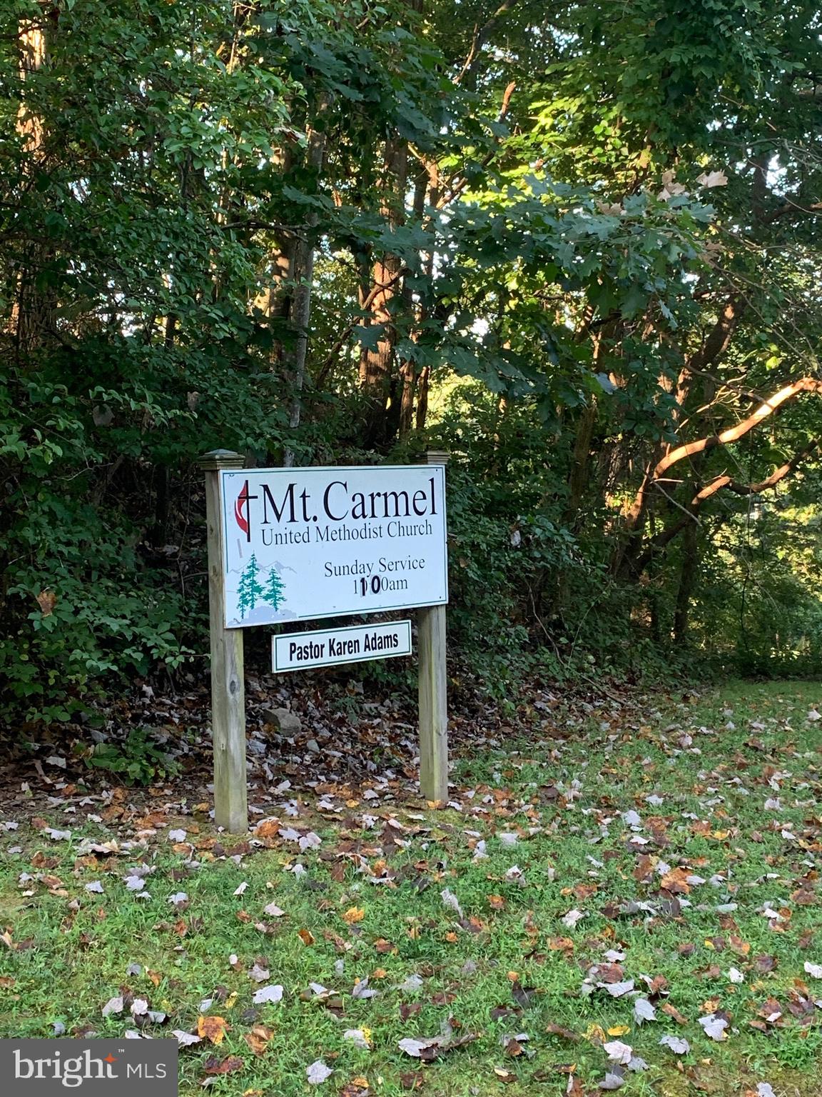 132 Mt Carmel Rd